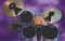 Vic Firth&nbsp;Individual Drum Mutes&nbsp;&nbsp;14 InchesOn Kit