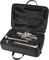 Stomvi&nbsp;5583 Master Titanium Series Eb / D Trumpet&nbsp;&nbsp;Silver, In Case, Left-facing