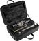 Stomvi&nbsp;5583 Master Titanium Series Eb / D Trumpet&nbsp;&nbsp;Silver, In Case, Right-facing