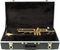 Giardinelli&nbsp;GTR 512 Professional Trumpet&nbsp;&nbsp;Lacquered, In Case
