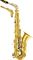 Giardinelli&nbsp;GS512 Alto Saxophone&nbsp;&nbsp;with Silver Neck