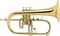 Antoine Courtois Paris&nbsp;AC154-1-0 Professionel Bb Flugelhorn&nbsp;Lacquer&nbsp;Lacquer