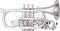 Kanstul&nbsp;1530 Series Bb Cornet&nbsp;&nbsp;Silver