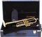 31362L Lacquer, with Case