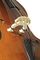 Bellafina&nbsp;Prima Double Bass Outfit&nbsp;&nbsp;Bridge Detail, Angle