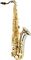 Amati&nbsp;ATS73P Tenor Saxophone&nbsp;&nbsp;ATS73P Tenor Saxophone