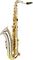 Amati&nbsp;ATS73P Tenor Saxophone&nbsp;&nbsp;Left Side