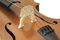 Bellafina&nbsp;Model 50 Cello Outfit&nbsp;3/4 Size&nbsp;Angle Closeup