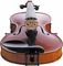 Karl Willhelm&nbsp;Meistergeige German-Made Violin&nbsp;&nbsp;Lower Bout Angle