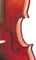 Karl Willhelm&nbsp;Model 55 Violin&nbsp;&nbsp;Closeup