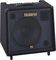 Roland&nbsp;KC-550 180W Keyboard Amp&nbsp;&nbsp;KC-550 180W Keyboard Amp
