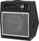 SWR&nbsp;WorkingPro 12 200 Watt 1x12