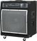 SWR&nbsp;WorkingPro 15 200 Watt 1x15