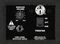 SWR&nbsp;WorkingPro 2X10C Bass Combo Amp&nbsp;&nbsp;Back Input Panel