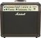 Marshall&nbsp;AS100D 2x8 Acoustic Combo Amp&nbsp;&nbsp;Front