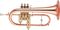 Leblanc&nbsp;F357 Arturo Sandoval Series Bb Flugelhorn&nbsp;&nbsp;Lacquer