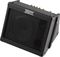 Crate&nbsp;TX15 Taxi Battery-Powered Combo Amp&nbsp;&nbsp;Left-facing