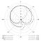Neumann&nbsp;TLM 67 Condenser Microphone&nbsp;&nbsp;Cardioid Polar Pattern Graph