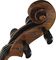 Bellafina&nbsp;Electric Bellafina 50 cello special&nbsp;&nbsp;Cello, Scroll
