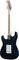 Fender Custom Shop&nbsp;Artist Series Eric Clapton Stratocaster Electric Guitar&nbsp;Mercedes Blue&nbsp;Maple FretboardMidnight Blue, Maple Fretboard, Back