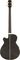 Rogue&nbsp;AB304 Acoustic/Electric Series II Bass&nbsp;&nbsp;Trans Black, Back