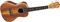Lanikai&nbsp;CK-C Concert Ukulele&nbsp;&nbsp;Koa, Rosewood Fretboard, Front