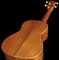 Cordoba&nbsp;25SK Soprano Ukulele&nbsp;&nbsp;Back, Laydown