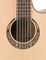 Luna Guitars&nbsp;Muse 12-String Acoustic-Electric Guitar&nbsp;&nbsp;Rosette