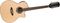 Luna Guitars&nbsp;Muse 12-String Acoustic-Electric Guitar&nbsp;&nbsp;Muse Parlor 12-String Acoustic-Electric Guitar