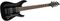 Schecter Guitar Research&nbsp;Hellraiser C-7 FR 7-String Electric Guitar&nbsp;&nbsp;Black