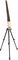 Kydd Basses&nbsp;Carry-On Upright Bass&nbsp;&nbsp;Natural