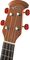 Applause&nbsp;UAE20 Acoustic-Electric Deluxe Soprano Ukulele&nbsp;Adamas Red&nbsp;Adamas Red, Headstock