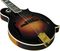 Gibson&nbsp;Sam Bush Signature Model Mandolin&nbsp;&nbsp;Sunburst, Close Angle