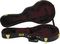 Gibson&nbsp;Sam Bush Signature Model Mandolin&nbsp;&nbsp;Case, Open
