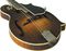 Gibson&nbsp;F-5 Distressed Master Model Mandolin&nbsp;&nbsp;Cremona Sunburst