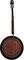 Epiphone&nbsp;MB-250 Banjo&nbsp;Red Mahogany Brown&nbsp;Red Mahogany Brown, Back