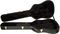 Ibanez&nbsp;AEB50C Hardshell Case for AEB10 Acoustic Bass&nbsp;&nbsp;Open