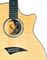 Dean&nbsp;Exotica FM Acoustic-Electric Guitar&nbsp;&nbsp;Detail 10