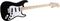 Fender&nbsp;Billy Corgan Stratocaster Electric Guitar&nbsp;&nbsp;Flat Black