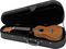 Lanikai&nbsp;Hardshell Standard Ukulele Case&nbsp;&nbsp;Open, with Uke