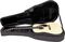 Gator&nbsp;GL-Dread Lightweight Dreadnought Guitar Case&nbsp;&nbsp;With Guitar