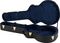 Gibson&nbsp;J-200 Guitar Case&nbsp;&nbsp;Open, Left-facing