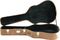Dean&nbsp;Acoustic Guitar Hardshell Case&nbsp;&nbsp;Open
