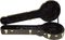 Deering&nbsp;Traditional Hardshell Banjo Case&nbsp;&nbsp;Open