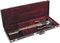 Ibanez&nbsp;UV1000C Guitar Case&nbsp;&nbsp;Open