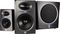 JBL&nbsp;LSR 2310SP 10