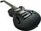 Normandy&nbsp;Gold Anodized Hardtail Archtop Electric Guitar&nbsp;Obsidian&nbsp;Obsidian, Angle