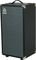 Ampeg&nbsp;SVT-210AV Micro Classic Bass Cabinet&nbsp;&nbsp;Left-facing