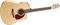 Seagull&nbsp;Performer Cutaway Flame Maple High Gloss QI Acoustic-Electric Guitar&nbsp;&nbsp;Natural