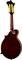 Gibson&nbsp;75th Anniversary F-12 Mandolin&nbsp;&nbsp;Back